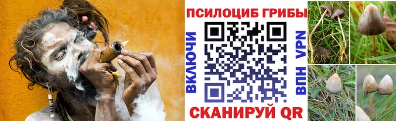 Псилоцибиновые грибы MAGIC MUSHROOMS Невель