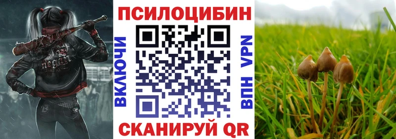 Псилоцибиновые грибы Magic Shrooms Невель