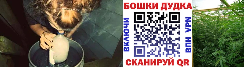 Шишки марихуана гибрид  купить наркотики сайты  Невель 